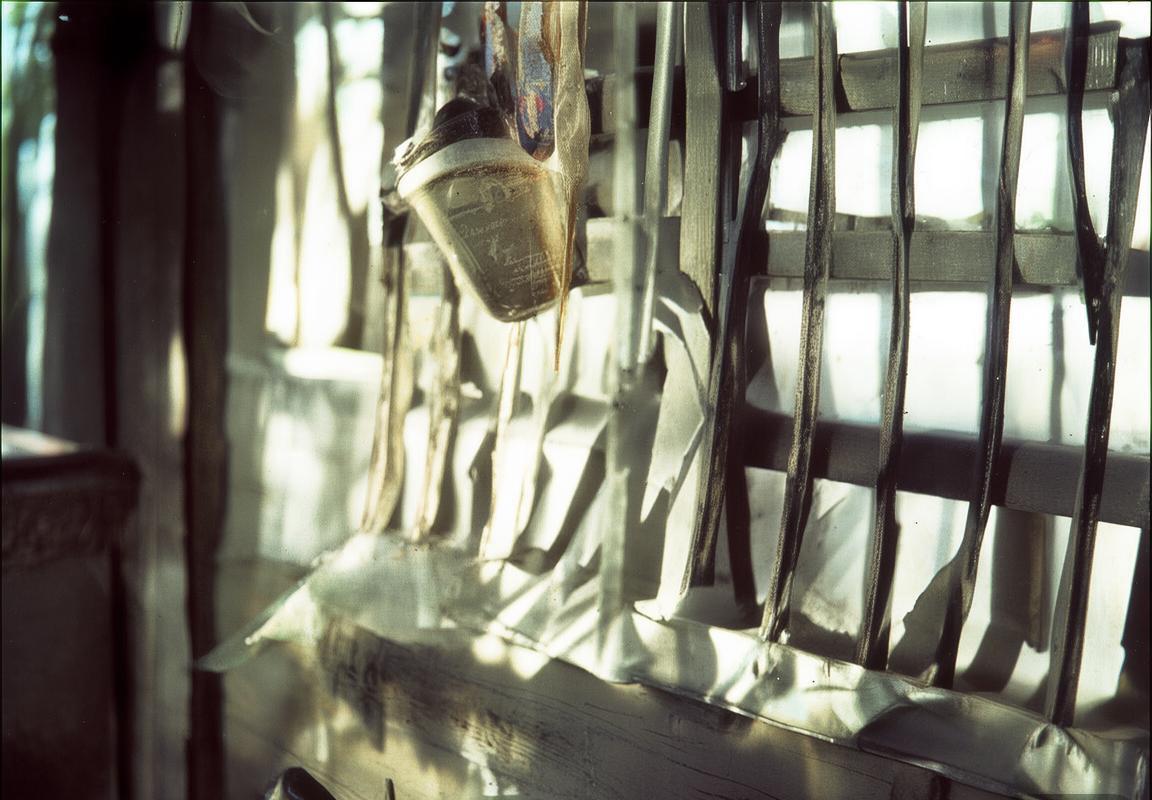 英超焦点战：利物浦迎战布莱顿，斯洛特新阵面临中场博弈考验